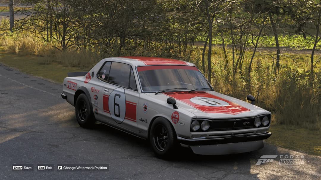 FH6: Nissan Skyline Race car